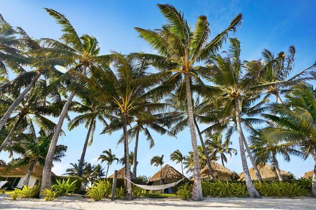 Motu Beachfront Art Villas - Unique Places to Stay in Rarotonga