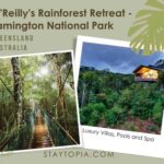 O'Reilly's Rainforest Retreat Lamington National Park