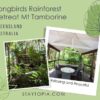 Songbirds Rainforest Retreat Mt Tamborine
