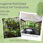 Songbirds Rainforest Retreat Mt Tamborine