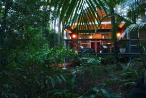 Songbirds Rainforest Retreat Mt Tamborine