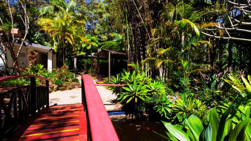 Songbirds Rainforest Retreat Mt Tamborine QLD