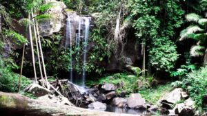 Witches Fall Mount Tamborine