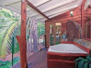 Wollumbin Palms Rainforest Retreat Mount Waring