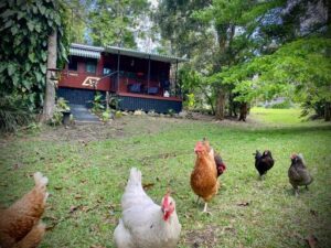 Mt Nebo Accommodation