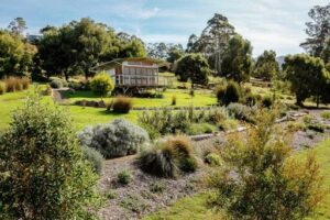 Hobart Hideaway Pods hillside