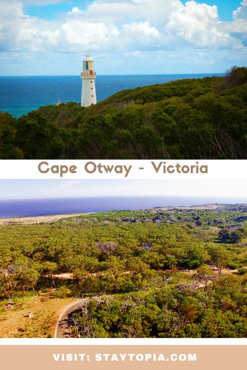 Bimbi Park and Cape Otway